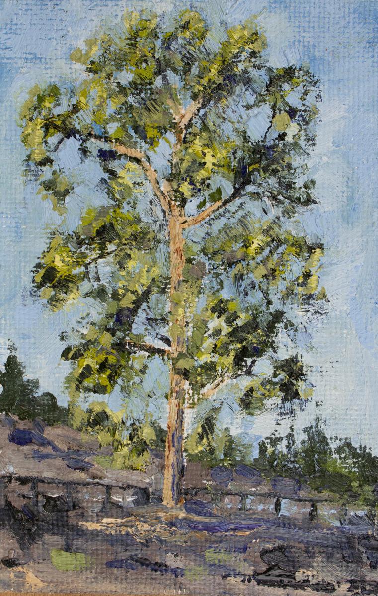 Eucalyptus Study.